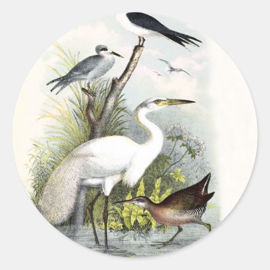 White Heron Ronde Sticker (Voorkant)
