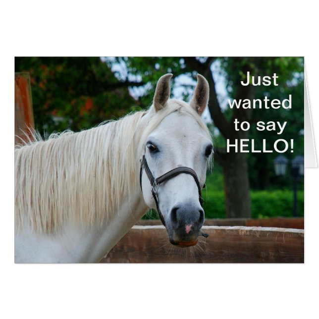 White Horse (Voorkant Horizontaal)