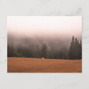 White Horse Briefkaart