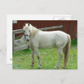 White Horse Briefkaart (Voorkant / Achterkant)