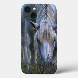 White Horse iPhone 13 Hoesje