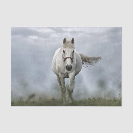  White Horse Cloud Photo Tissuepapier (Voorkant)