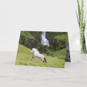White Horse en het Waterfall Horse Wenskaart Kaart