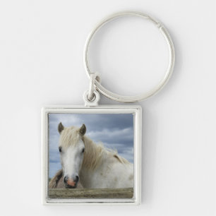 White Horse Frankrijk Sleutelhanger