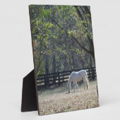 White Horse in bomen Fotoplaat (Zijkant)