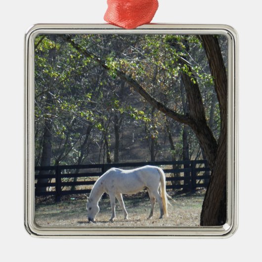 White Horse in bomen Metalen Ornament (Voorkant)