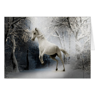 White Horse in Snow