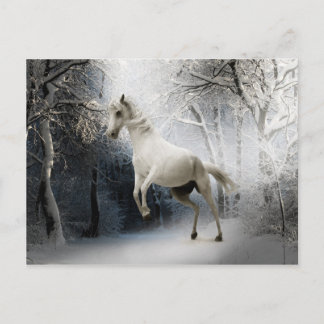 White Horse in Snowy Winter Landscape Briefkaart