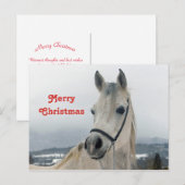  White Horse-kerstfoto Briefkaart (Voorkant / Achterkant)