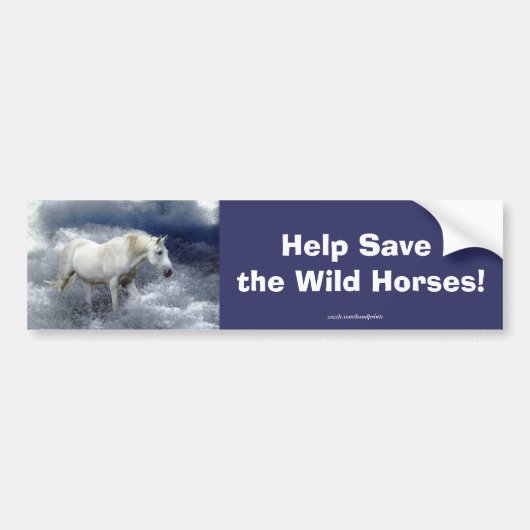 White Horse Lover Equine Bumpersticker (Voorkant)
