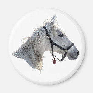 White Horse Magneet