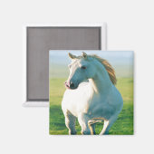 White Horse Magnet Magneet (Voorkant / Achterkant)