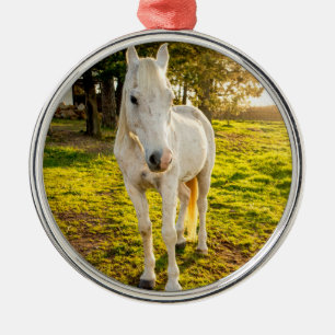 White Horse Metalen Ornament