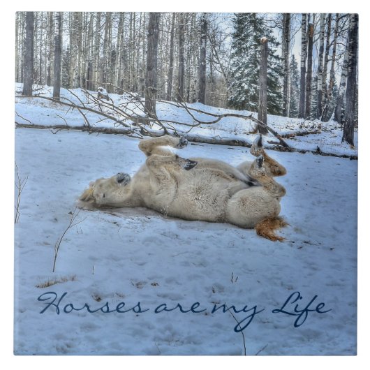 White Horse Rolling in Winter Snow Tegeltje (Voorkant)