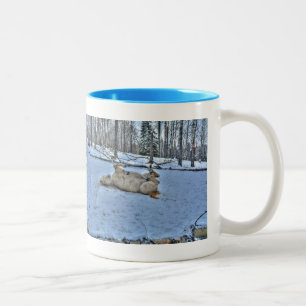 White Horse Rolling in Winter Snow Tweekleurige Koffiemok