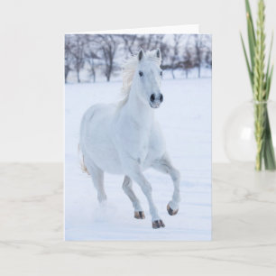 White Horse Running in the Snow Kaart