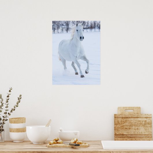 White Horse Running in the Snow Poster (Keuken)