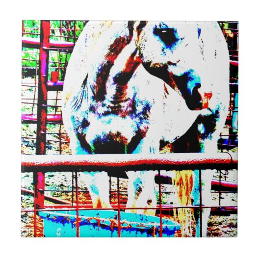 White Horse Tegeltje (Voorkant)