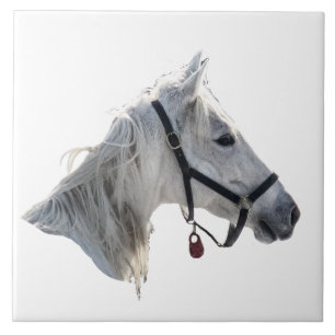 White Horse Tegeltje