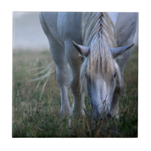 White Horse Tegeltje