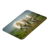 White Horses of Camargue in Field Magneet (Linkerzijde)