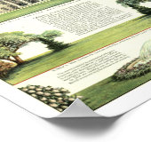 White House Cutout Poster (Hoek)