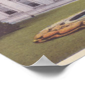 White House Washington DC Poster (Hoek)