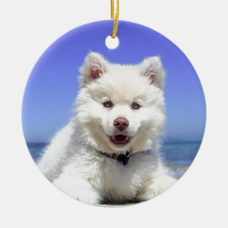 White Husky Puppy with Blue Eyes Keramisch Ornament