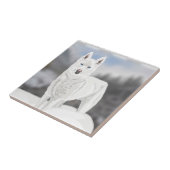 White Husky Tegeltje (Zijkant)