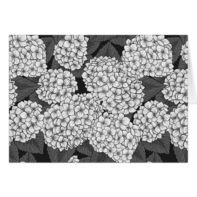 White hydrangea (Devant horizontal)