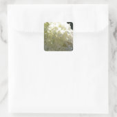 White Hydrangea Flower Cluster Vierkante Sticker (Tas)