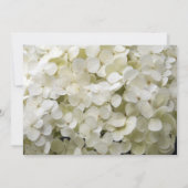 White Hydrangea Flowers Sweet 16 Birthday Party Kaart (Achterkant)