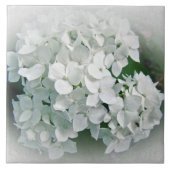 White Hydrangea Flowers Tegeltje (Voorkant)