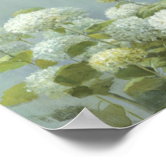 White Hydrangea Garden Poster (Hoek)