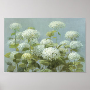 White Hydrangea Garden Poster