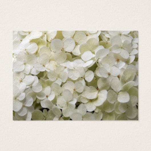 White Hydrangea Mariage Charity Favore (Dos)