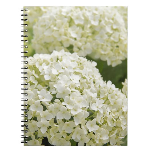 White Hydrangea Notitieboek (Voorkant)
