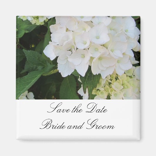 White Hydrangeas Magneet (Voorkant)
