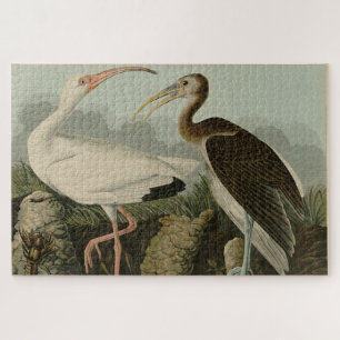 White Ibis - John James Audubon's Birds of America Legpuzzel