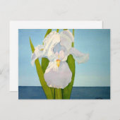 White Iris2 Briefkaart (Voorkant / Achterkant)