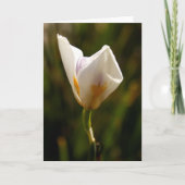 White Iris Flower Greeting Card Aankondiging (Voorkant)