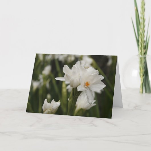 White Jonquils Greeting Card Aankondiging (Voorkant)