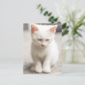 White Kitten Briefkaart (Staand voorkant)