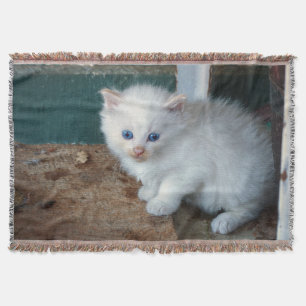White Kitten Deken