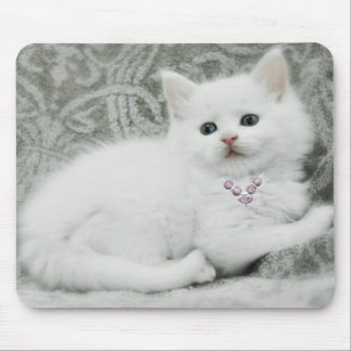 White Kitten Muismat