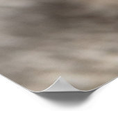 White Kitten Poster (Hoek)