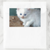 White Kitten Rechthoekige Sticker (Tas)