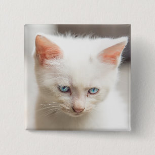 White Kitten Vierkante Button 5,1 Cm