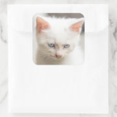White Kitten Vierkante Sticker (Tas)