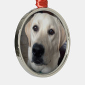 White Lab Metalen Ornament (Rechts)